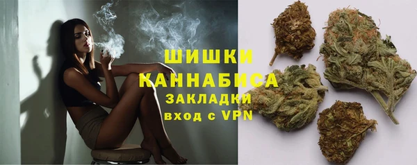 спайс Арсеньев