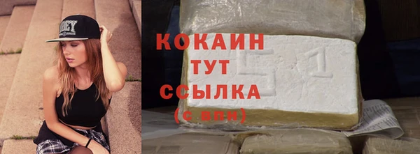 спайс Арсеньев