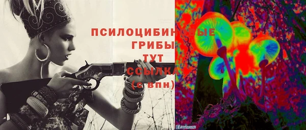 спайс Арсеньев
